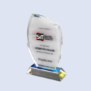 DS-CA-300 Crystal Award 8" 200mm