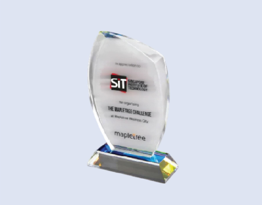 DS-CA-300 Crystal Award 8" 200mm