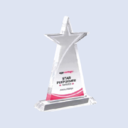 DS-CA-307 Crystal Star Award 8" 200mm