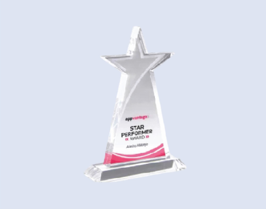 DS-CA-307 Crystal Star Award 8" 200mm