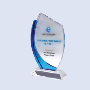 DS-CA-316 Crystal Award 9" 230mm
