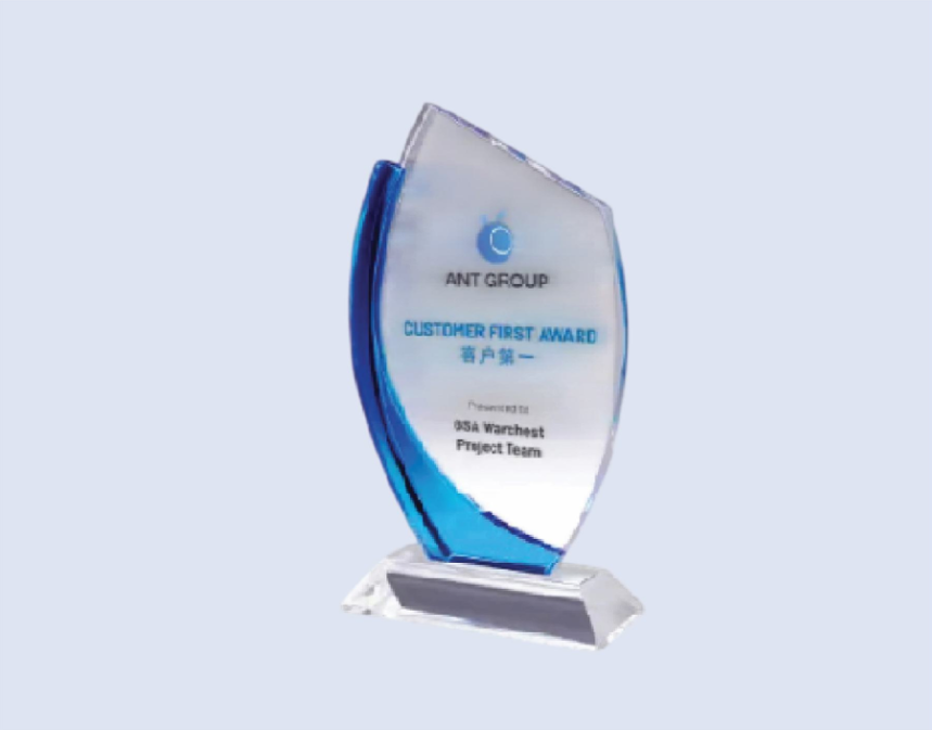 DS-CA-316 Crystal Award 9" 230mm