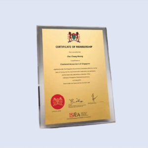 DS-PA-CERT Acrylic Plaque 9" x 12" / 230 x 305mm