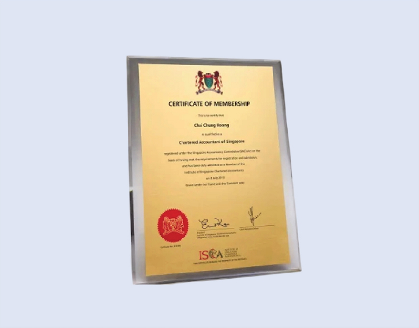 DS-PA-CERT Acrylic Plaque 9" x 12" / 230 x 305mm