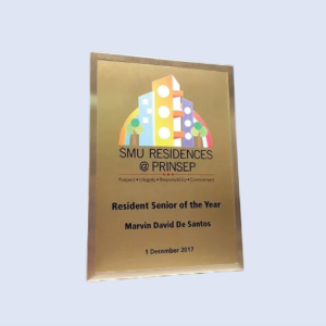 DS-PF-03 UV A4 Gold Cert Frame 8.5" x 12" / 215 x 300mm