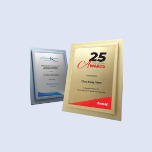 DS-PF-04 A4 Cert Frame 9.5" x 12" 240 x 310mm