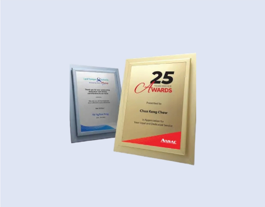 DS-PF-04 A4 Cert Frame 9.5" x 12" 240 x 310mm