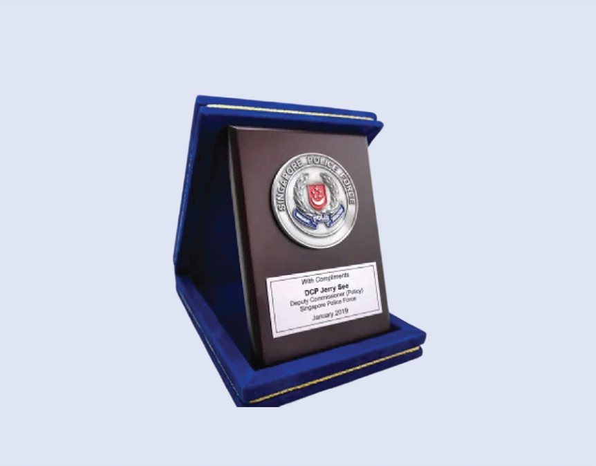 DS-PVB-06 SPF Coin in Velvet Box 5 x 7" 130 x 180mm