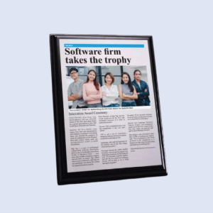 DS-PW-NEWS Wooden Plaque 9 x 12" / 230mm x 300mm