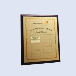 DS-PW-01 Wooden Plaque 9 x 12" / 230mm x 300mm Size Options