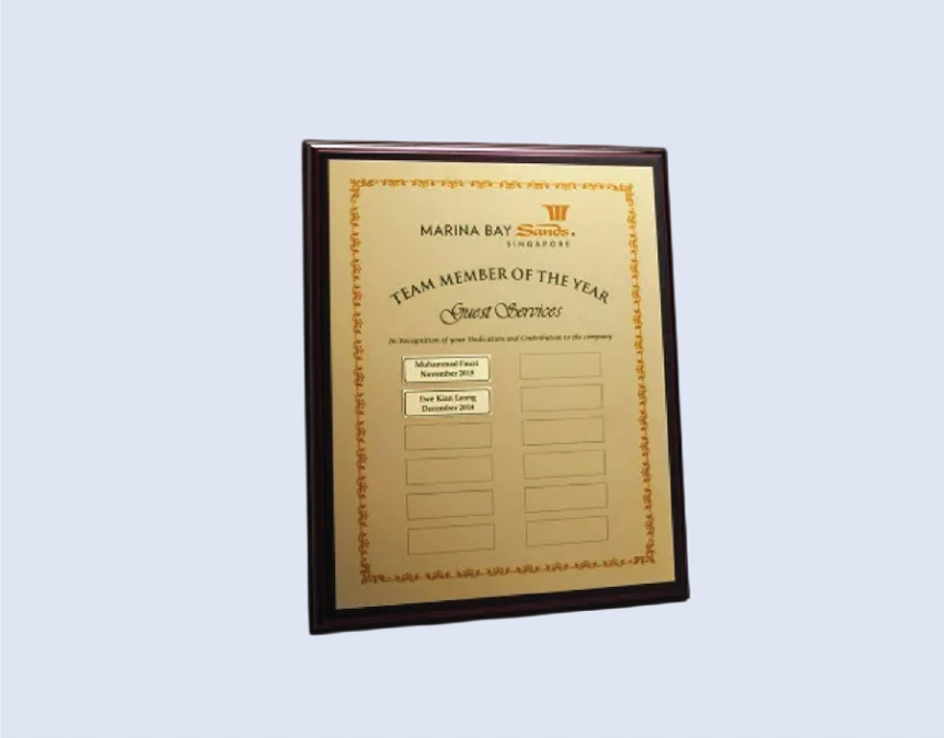 DS-PW-01 Wooden Plaque 9 x 12" / 230mm x 300mm Size Options