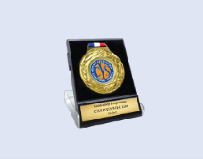 DS-PBM-BL Medal Display Box 3.5 x 4.5"/ 90 x 115mm