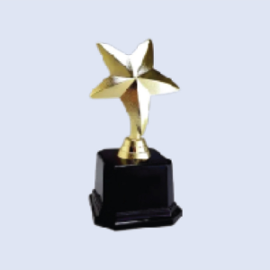 DS-RS-06P Plastic Star Trophy 8" 200mm