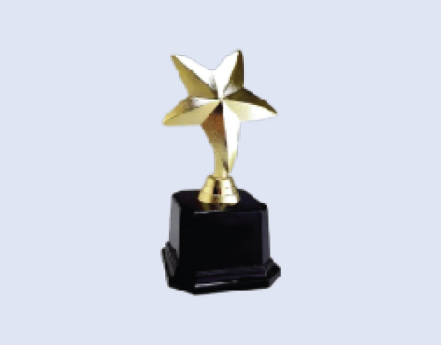DS-RS-06P Plastic Star Trophy 8" 200mm