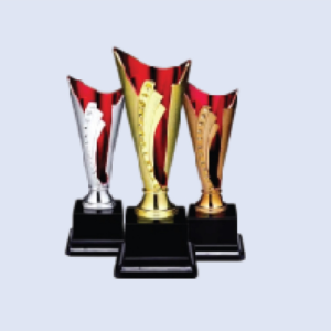 DS-TC-23P Plastic Trophy Cup 8.25" / 210mm - Colour Options
