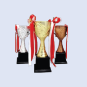DS-TC-29P Plastic Trophy Cup 10" / 255mm - Colour Options