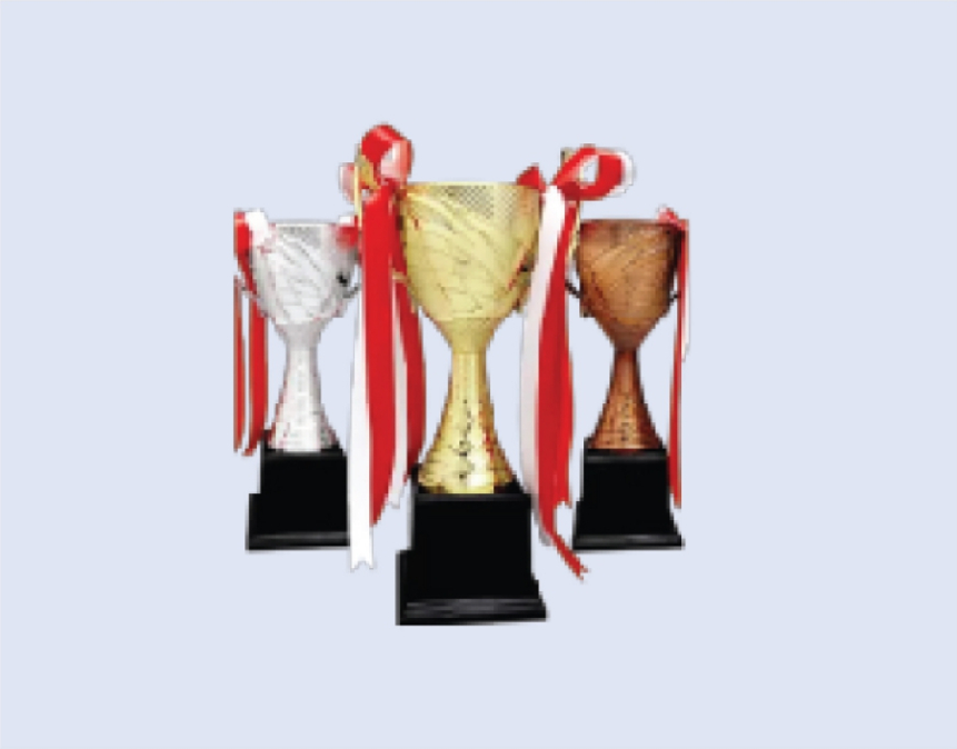 DS-TC-29P Plastic Trophy Cup 10" / 255mm - Colour Options