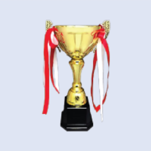 DS-TC-37 Metal Trophy Cup 10" / 260mm