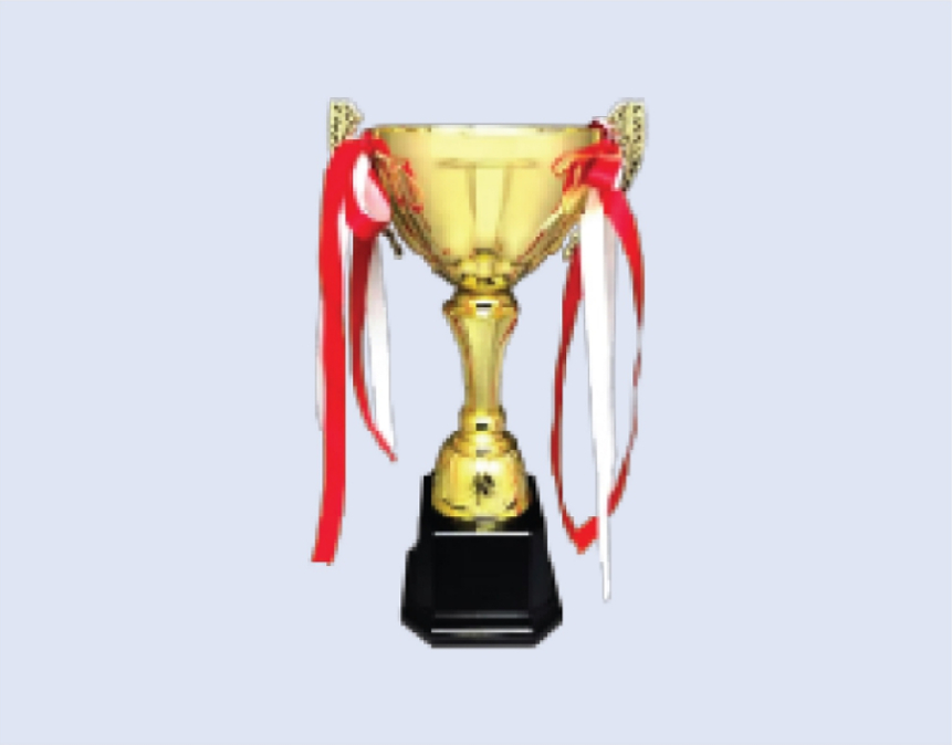 DS-TC-37 Metal Trophy Cup 10" / 260mm