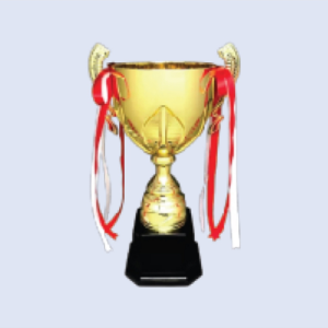 DS-TC-39 Metal Trophy Cup 16" / 415mm