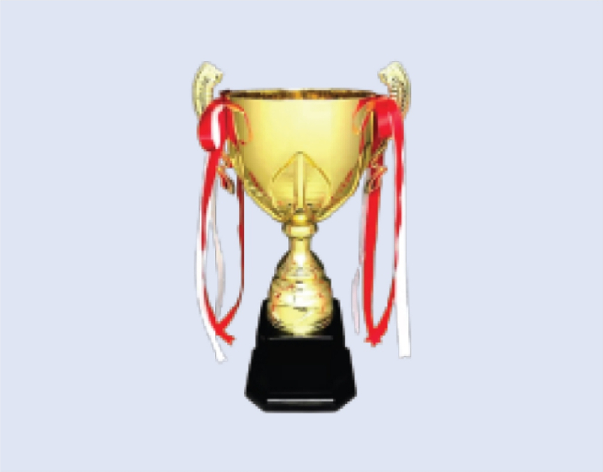 DS-TC-39 Metal Trophy Cup 16" / 415mm