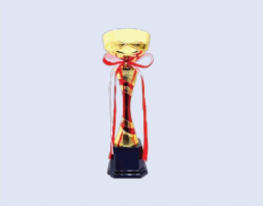 DS-TC-41 Metal Trophy Cup 13.5"/ 340mm