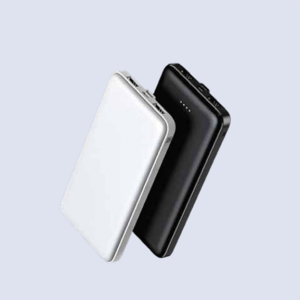 Econpower 10000mAh Powerbank